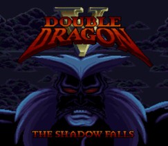 双截龙5：暗影降临/Double Dragon V: The Shadow Falls