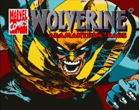 金刚狼：艾德曼合金之怒/Wolverine: Adamantium Rage