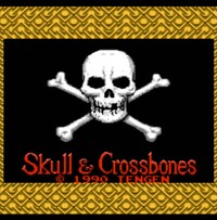 骷髅与交叉骨/Skull & Crossbones