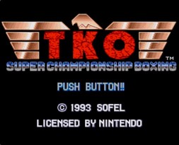 拳斗王/TKO Super Championship Boxing