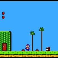 超级马里奥兄弟2/Super Mario Bros. 2